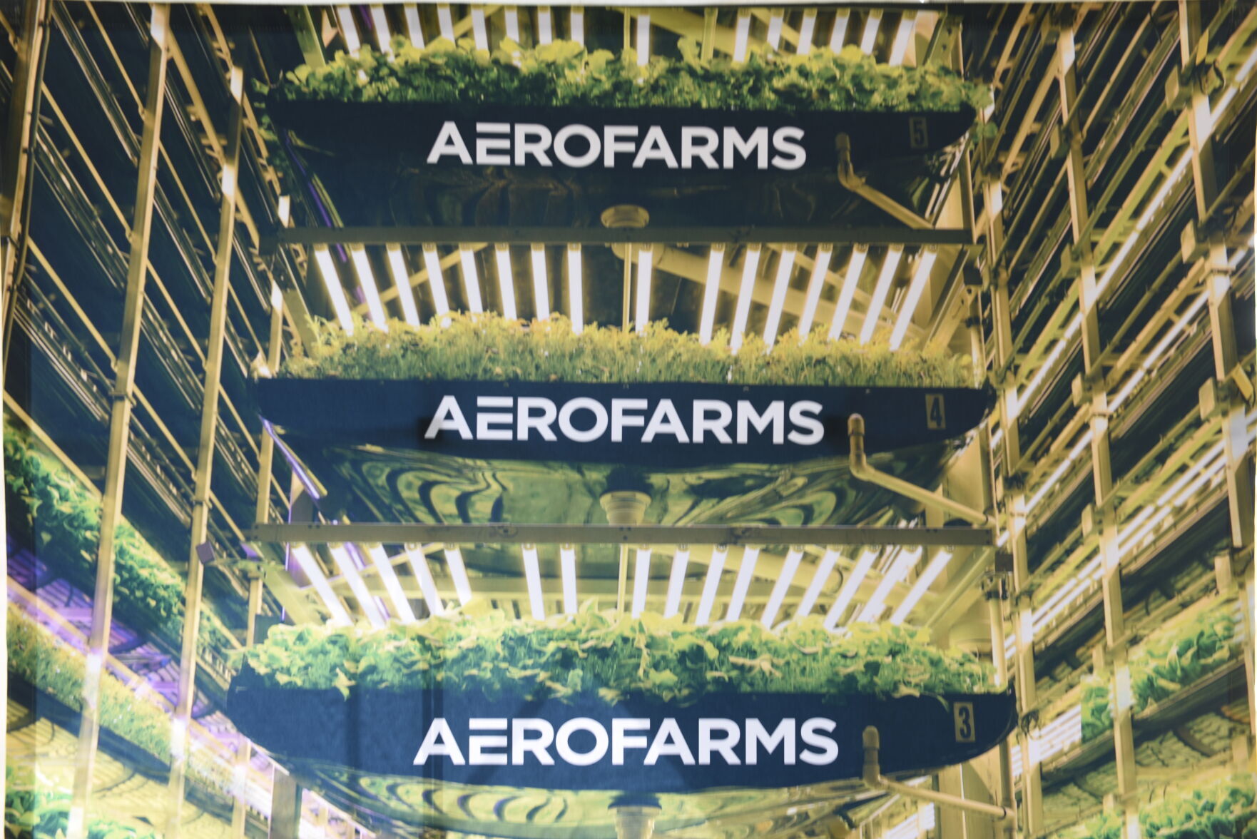 AeroFarms